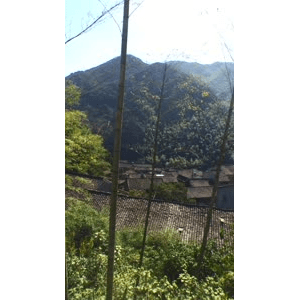 旅行风景1933