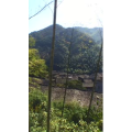 旅行风景1933