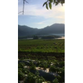 旅行风景1965
