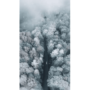 旅行风景1971