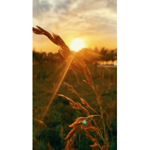 旅行风景1986