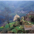 旅行风景1988