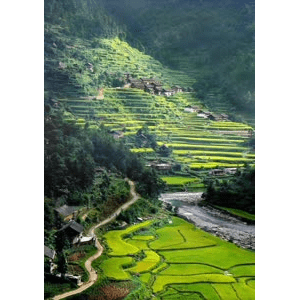 旅行风景1999