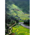 旅行风景1999