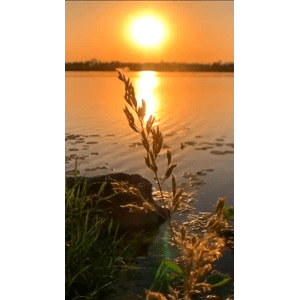 旅行风景2004