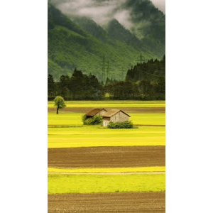 旅行风景2007