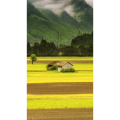 旅行风景2007