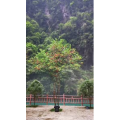 旅行风景2019