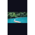 旅行风景2026