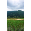 旅行风景2027