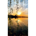 旅行风景2029