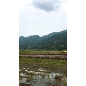 旅行风景2036