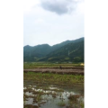 旅行风景2036