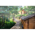 旅行风景2046