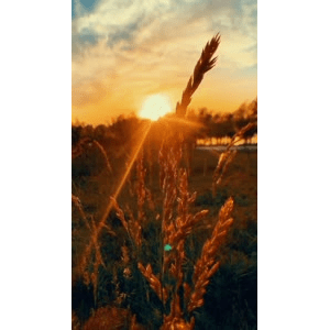 旅行风景2048