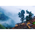 旅行风景2049