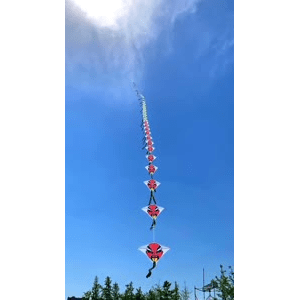 旅行风景2089