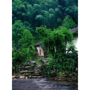 旅行风景2104