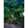 旅行风景2104
