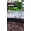 旅行风景2145