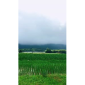 旅行风景2186