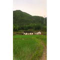 旅行风景2206