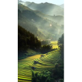 旅行风景2207