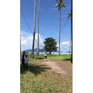 旅行风景2237