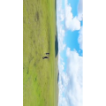 旅行风景2255