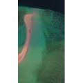 旅行风景2256