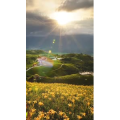 旅行风景2258