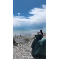 旅行风景2263