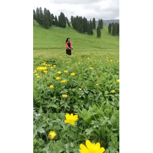 旅行风景2266