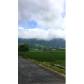 旅行风景2269