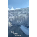旅行风景2294