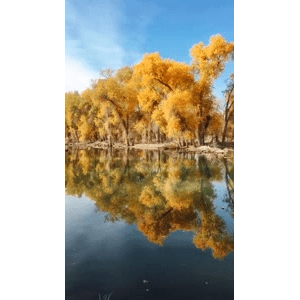 旅行风景2299
