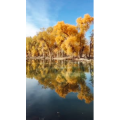旅行风景2299