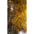 旅行风景2303