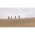 旅行风景2311