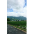 旅行风景2312