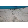 旅行风景2322