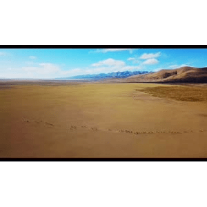 旅行风景2326