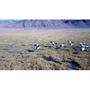 旅行风景2331