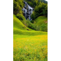 旅行风景2346