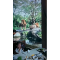 旅行风景2350