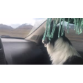 旅行风景2356