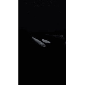 旅行风景2360