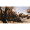旅行风景2363