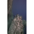 旅行风景2369