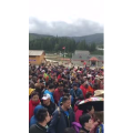 旅行风景2382